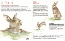 Ma Come Parli? — Libro - 3