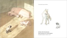 Ma Perché i Lupi Sono Così Cattivi — Libro - 3