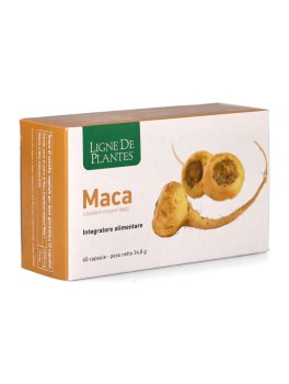 Maca - 60 Capsule - 1
