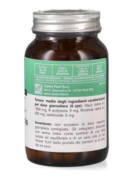 Maca - Rhodiola - Capsule - 2