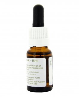 Macrocarpa - Fiori australiani - 15 ml - 2