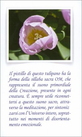 Madre Terra e Regni di Natura — Libro - 4