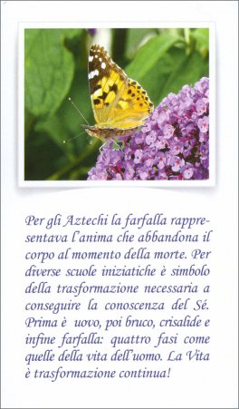Madre Terra e Regni di Natura — Libro - 5