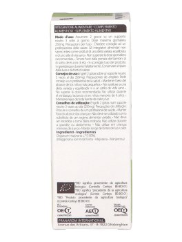 Maggiorana Sommita Fiorita - Olio Essenziale Bio - 3