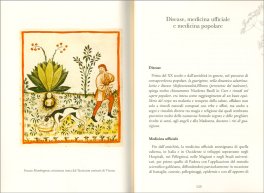 Maghi, Streghe e Guaritori — Libro - 3