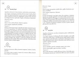 Magia Pratica - Il Manuale delle Bindrunes — Libro - 3