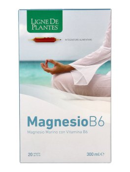 Magnesio B6 - 20 Ampolle - 2