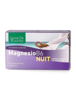 Magnesio B6 Nuit - 2
