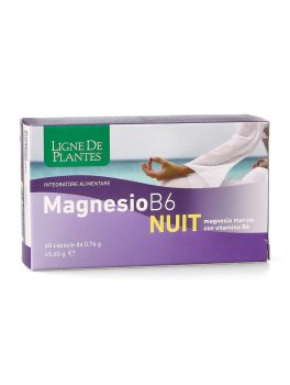 Magnesio B6 Nuit - 1