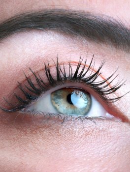 Magnitudo - Carbo Eco-Mascara 01 - 5