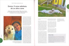 Mai Più Soli - Quattrozampe — Libro - 2