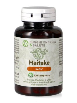 Maitake Basic - 1