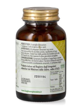Maitake Plus - Formula Potenziata - 2