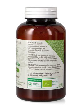 Maitake Polvere Bio - 2
