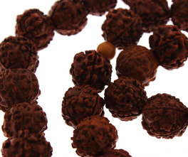 Mala con Grani di Rudraksha - 3