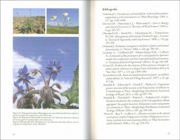 Malerbe Amiche — Libro - 3
