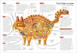 Mamma ti Racconto... Cosa Fanno i Gatti — Libro - 5