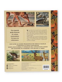 Mammalia - L'Inventario dei Mammiferi — Libro - 4