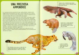 Mammiferi del Mondo — Libro - 3