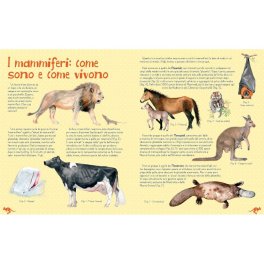 Mammiferi del Mondo — Libro - 4