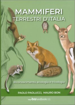 Mammiferi Terrestri d'Italia — Libro - 1
