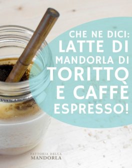 Mandolat® Latte di Mandorla Solubile Bio - 3