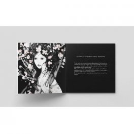 Mani d'Argento — Libro - 4