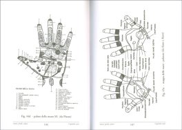 Mani, Piedi, Salute — Libro - 3