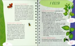 Manuale degli Alberi e delle Foglie — Libro - 3