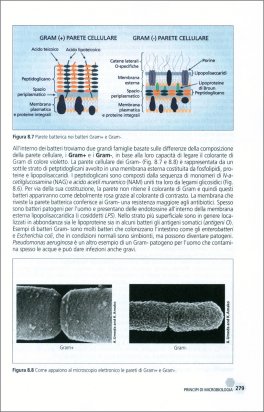 Manuale del Cosmetologo — Libro - 4