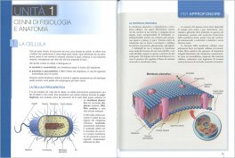 Manuale di Abilitazione per Tatuatori e Piercer — Libro - 3