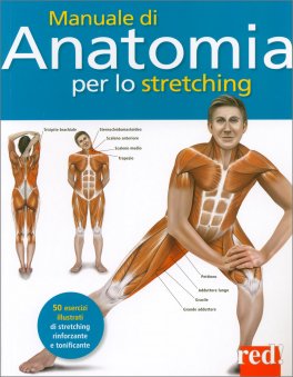 Manuale di Anatomia per lo Stretching — Libro - 1