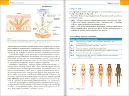 Manuale di Cosmetologia — Libro - 3