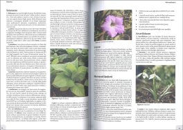 Manuale di Cultura Generale — Libro - 3