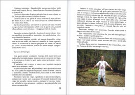 Manuale di Iniziazione Sciamanica — Libro - 3