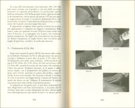 Manuale di Qi Shu — Libro - 3