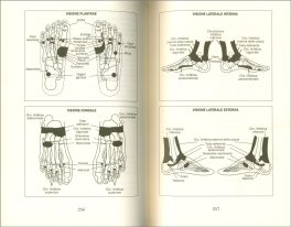 Manuale di Riflessologia Plantare — Libro - 3