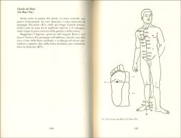 Manuale di Shiatsu — Libro - 3
