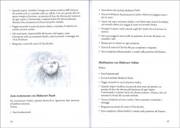 Manuale di Tantra Reiki Samanta — Libro - 3