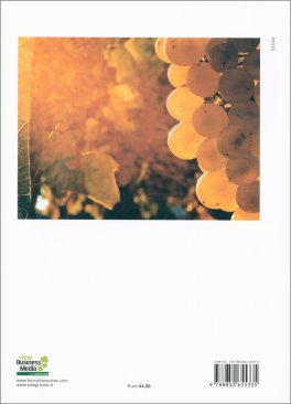 Manuale di Viticoltura — Libro - 2