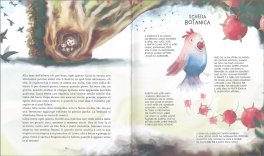 Manuale per Giovani Inventori di Alberi e Foreste - 3