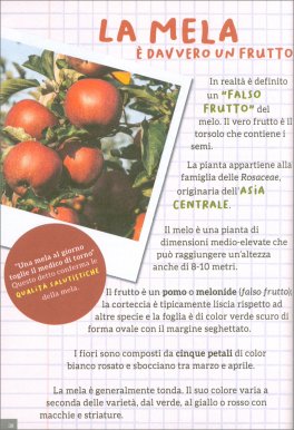 Manuale per Piccoli Botanici 2 - Alberi da Frutto — Libro - 2