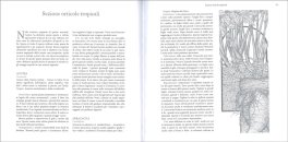 Manuale per Salvare i Semi dell'Orto e la Biodiversità — Libro - 3