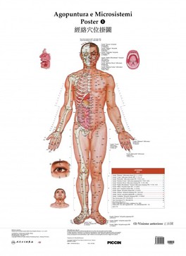 Mappa: Agopuntura e Microsistemi 1-2-3-4-5 — Poster - 1