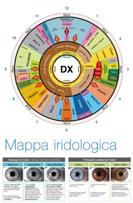 Mappa Iridologica Riflessa Organizzata — Poster - 2