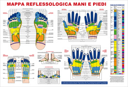 Mappa Reflessologia Mani e Piedi — Poster - 1