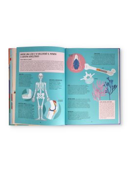 Mappe del Corpo Umano — Libro - 3