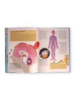 Mappe del Corpo Umano — Libro - 2