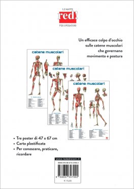 Mappe delle Catene Muscolari — Poster - 2