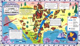 Mappe per i Pinguini e per gli altri Animali Viaggiatori — Libro - 3